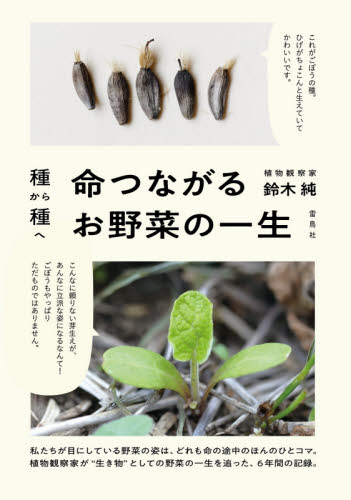 種から種へ命つながるお野菜の一生