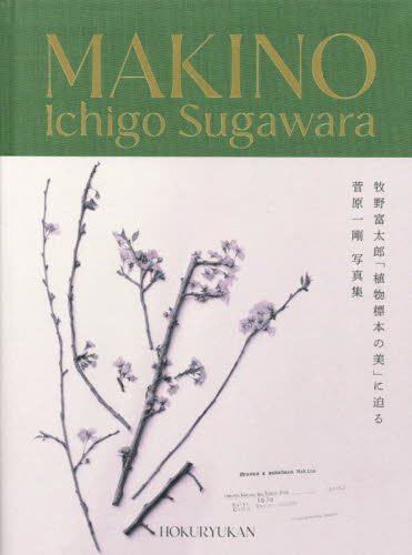 MAKINO 植物の肖像