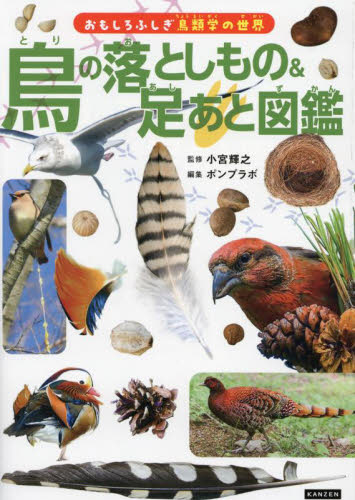 日本鳥類大図鑑4冊セット 日本鳥類大図鑑 (1979年) |本 | 通販 | Amazon