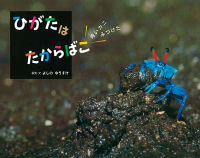 ひがたはたからばこ 青いカニみつけた