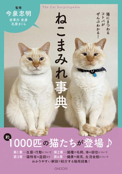 ねこまみれ事典 猫にまつわるコトバがぜんぶわかる!