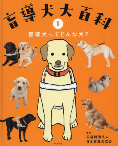 【中古】 障害者サポート公的サービスガイドブック 障害のある方もない方も、共にいきいきと暮らす社会を/ＮＣコミュニケーションズ/中村哲夫 中古】 障害者サポート公的サービスガイドブック 障害のある方も