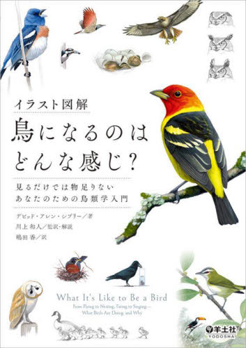 ハワードとムーア　世界の鳥類チェックリスト　vol.2 スズメ目　第4版 ハワードとムーア 世界の鳥類チェックリスト vol.2 スズメ目 第4