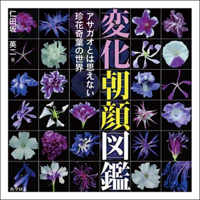 変化朝顔図鑑 アサガオとは思えない珍花奇葉の世界