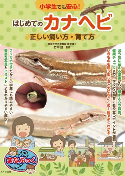 小学生でも安心!はじめてのカナヘビ正しい飼い方・育て方