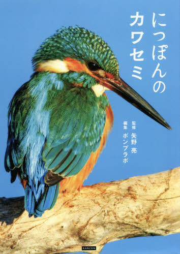 自然と科学　カラー版　カワセミのすむ川 自然と科学 カラー版 カワセミのすむ川