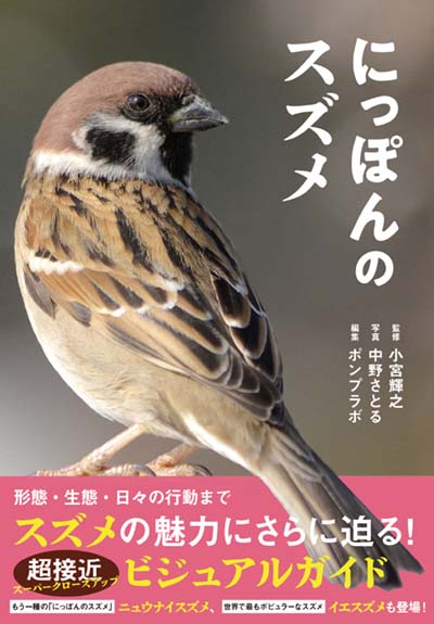にっぽんのスズメ