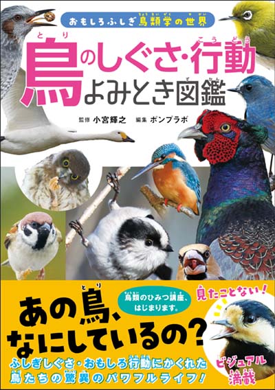 即購入⭕鳥類 図鑑 本 絵本 10冊セット 即購入⭕鳥類 図鑑 本 絵本 10冊セット