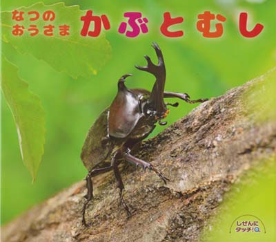 なつのおうさまかぶとむし