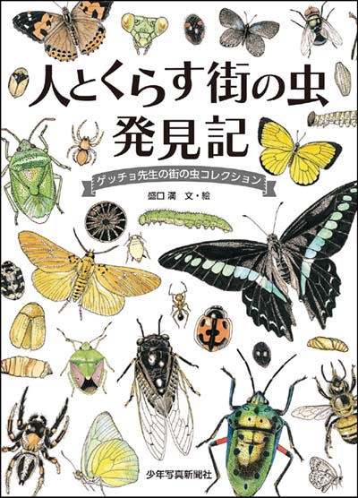 人とくらす街の虫発見記 ゲッチョ先生の街の虫コレクション