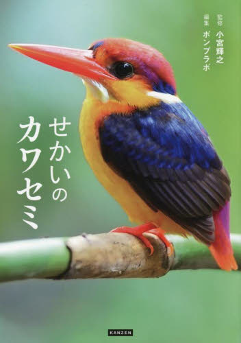 自然と科学 カラー版 カワセミのすむ川 自然と科学 カラー版 カワセミの