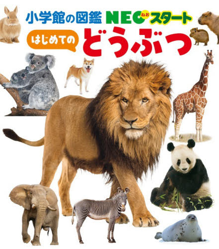 はじめてのどうぶつ